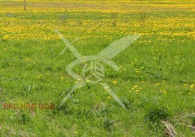 ПАРЦЕЛ, 1 590 m2 - Holmes.bg ПАРЦЕЛ, 1 590 m2