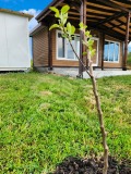 Продава КЪЩА, град Бургас, Банево • 47000 € • 66443891 1 — Holmes.bg Продава КЪЩА, град Бургас, Банево • 47000 € • 66443891 1