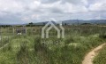 Продава ПАРЦЕЛ, Гърция, Халкидики • 120000 € / 234699.60 лв. • 36763568 6 — Holmes.bg Продава ПАРЦЕЛ, Гърция, Халкидики • 120000 € / 234699.60 лв. • 36763568 6
