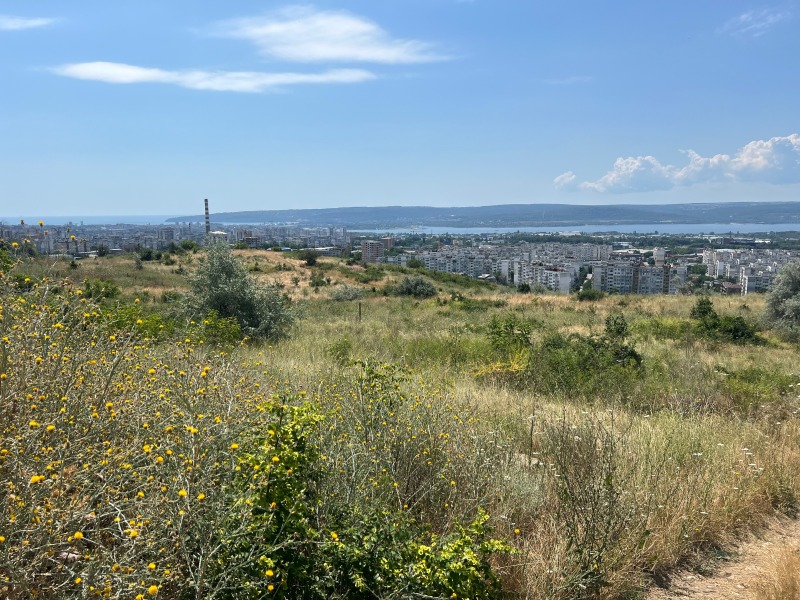 Продава ПАРЦЕЛ, град Варна, м-т Балам Дере • 155000 € / 303153.65 лв. • 61588607 1 — Holmes.bg Продава ПАРЦЕЛ, град Варна, м-т Балам Дере • 155000 € / 303153.65 лв. • 61588607 1