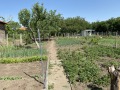 Продава ПАРЦЕЛ, област Добрич, с. Победа • 27500 € • 51611396 1 — Holmes.bg Продава ПАРЦЕЛ, област Добрич, с. Победа • 27500 € • 51611396 1