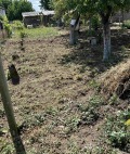 Продава ПАРЦЕЛ, област Добрич, с. Победа • 27500 € • 51611396 5 — Holmes.bg Продава ПАРЦЕЛ, област Добрич, с. Победа • 27500 € • 51611396 5
