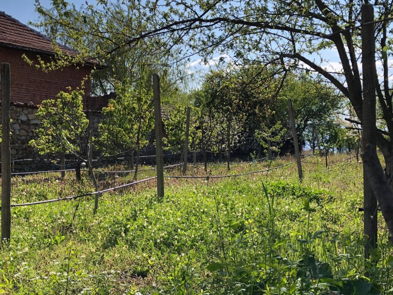 Продава ПАРЦЕЛ, област Пловдив, с. Анево • 30000 € / 58674.90 лв. • 22400028 1 — Holmes.bg Продава ПАРЦЕЛ, област Пловдив, с. Анево • 30000 € / 58674.90 лв. • 22400028 1