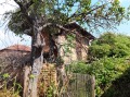Продава КЪЩА, област София, с. Челопеч • 45000 € • 64269011 6 — Holmes.bg Продава КЪЩА, област София, с. Челопеч • 45000 € • 64269011 6
