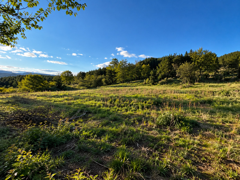 Продава ПАРЦЕЛ, област Благоевград, гр. Добринище • 120000 € • 43677751 1 — Holmes.bg Продава ПАРЦЕЛ, област Благоевград, гр. Добринище • 120000 € • 43677751 1