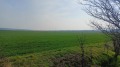 Продава Земеделска земя област Варна , гр. Игнатиево , 7 дка | 62765081 — Imoti.com Продава Земеделска земя област Варна , гр. Игнатиево , 7 дка | 62765081