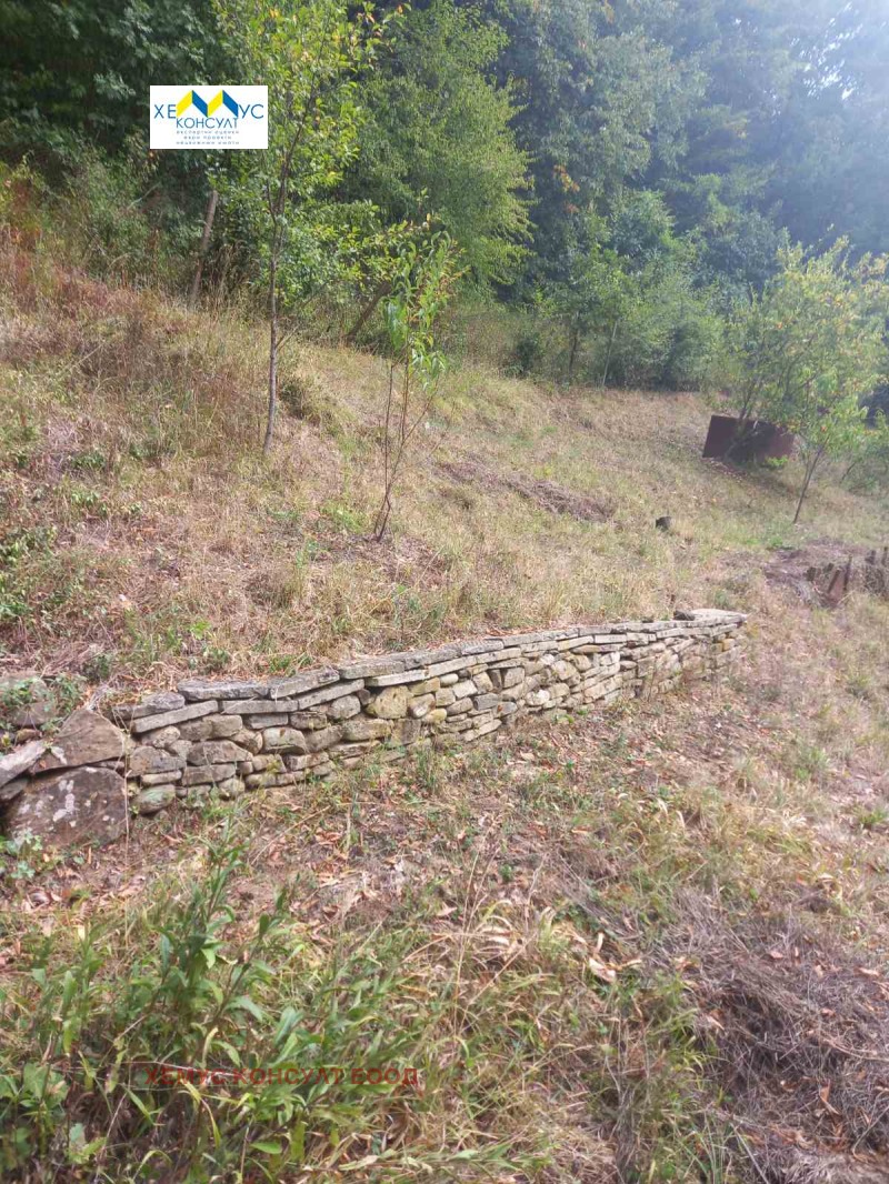 Продава ПАРЦЕЛ, област Ловеч, гр. Троян • 18800 € / 36769.60 лв. • 90345514 1 — Holmes.bg Продава ПАРЦЕЛ, област Ловеч, гр. Троян • 18800 € / 36769.60 лв. • 90345514 1