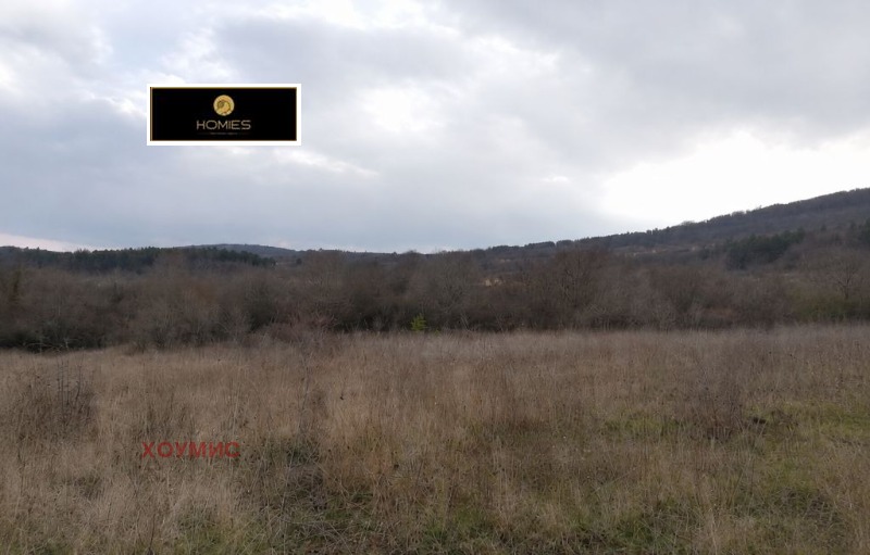 Продава ПАРЦЕЛ, област Бургас, гр. Созопол • 276000 € / 539809.08 лв. • 26725495 1 — Holmes.bg Продава ПАРЦЕЛ, област Бургас, гр. Созопол • 276000 € / 539809.08 лв. • 26725495 1