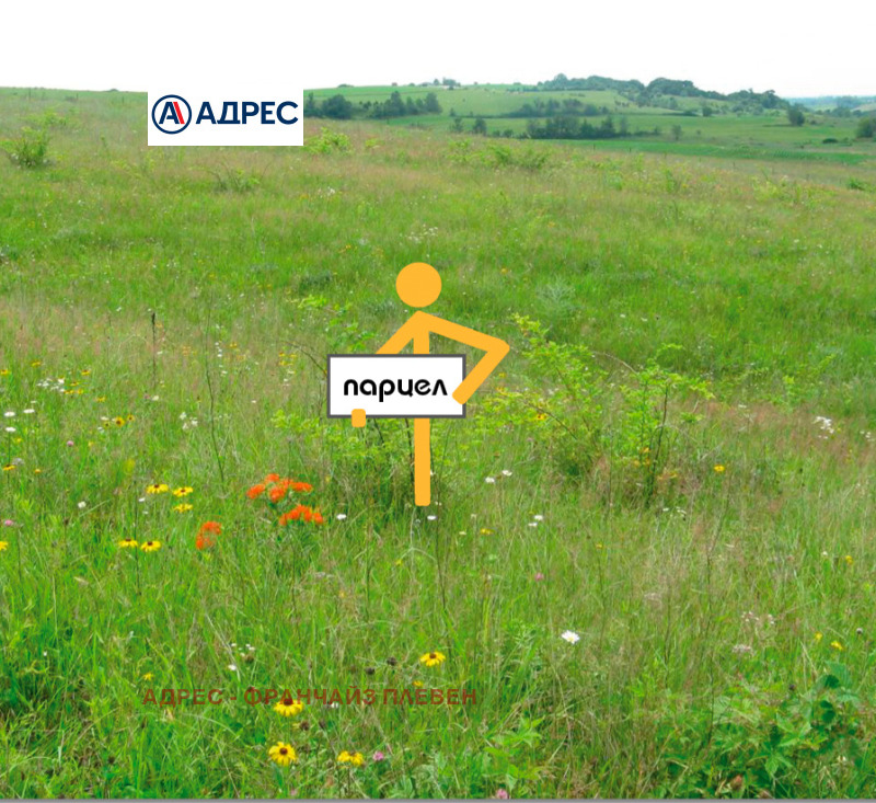 Продава ПАРЦЕЛ, град Плевен, Дружба 1 • 876000 € • 64661964 1 — Holmes.bg Продава ПАРЦЕЛ, град Плевен, Дружба 1 • 876000 € • 64661964 1