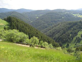 ПАРЦЕЛ, 3 200 m2 - Holmes.bg ПАРЦЕЛ, 3 200 m2