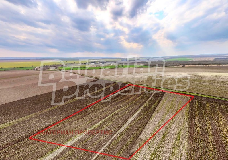 Продава ПАРЦЕЛ, област Варна, гр. Игнатиево • 68159 € • 78832121 1 — Holmes.bg Продава ПАРЦЕЛ, област Варна, гр. Игнатиево • 68159 € • 78832121 1