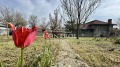 Продава Къща област Велико Търново , с. Първомайци , 112 кв.м | 14918183 — Imoti.com Продава Къща област Велико Търново , с. Първомайци , 112 кв.м | 14918183