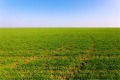 Продава Земеделска земя област Пловдив , гр. Карлово , 7 дка | 51875383 — Imoti.com Продава Земеделска земя област Пловдив , гр. Карлово , 7 дка | 51875383