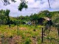 Продава ПАРЦЕЛ, град Варна, м-т Боровец - юг • 85000 € / 166245.55 лв. • 87917165 2 — Holmes.bg Продава ПАРЦЕЛ, град Варна, м-т Боровец - юг • 85000 € / 166245.55 лв. • 87917165 2