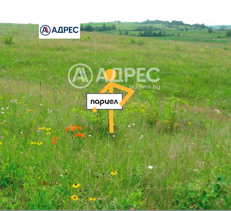 Продава ПАРЦЕЛ, град Варна, м-т Зеленика • 134999 € / 264035.09 лв. • 93905531 1 — Holmes.bg Продава ПАРЦЕЛ, град Варна, м-т Зеленика • 134999 € / 264035.09 лв. • 93905531 1