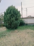 Продава КЪЩА, област Пазарджик, с. Мало Конаре • 105000 € • 45182747 4 — Holmes.bg Продава КЪЩА, област Пазарджик, с. Мало Конаре • 105000 € • 45182747 4