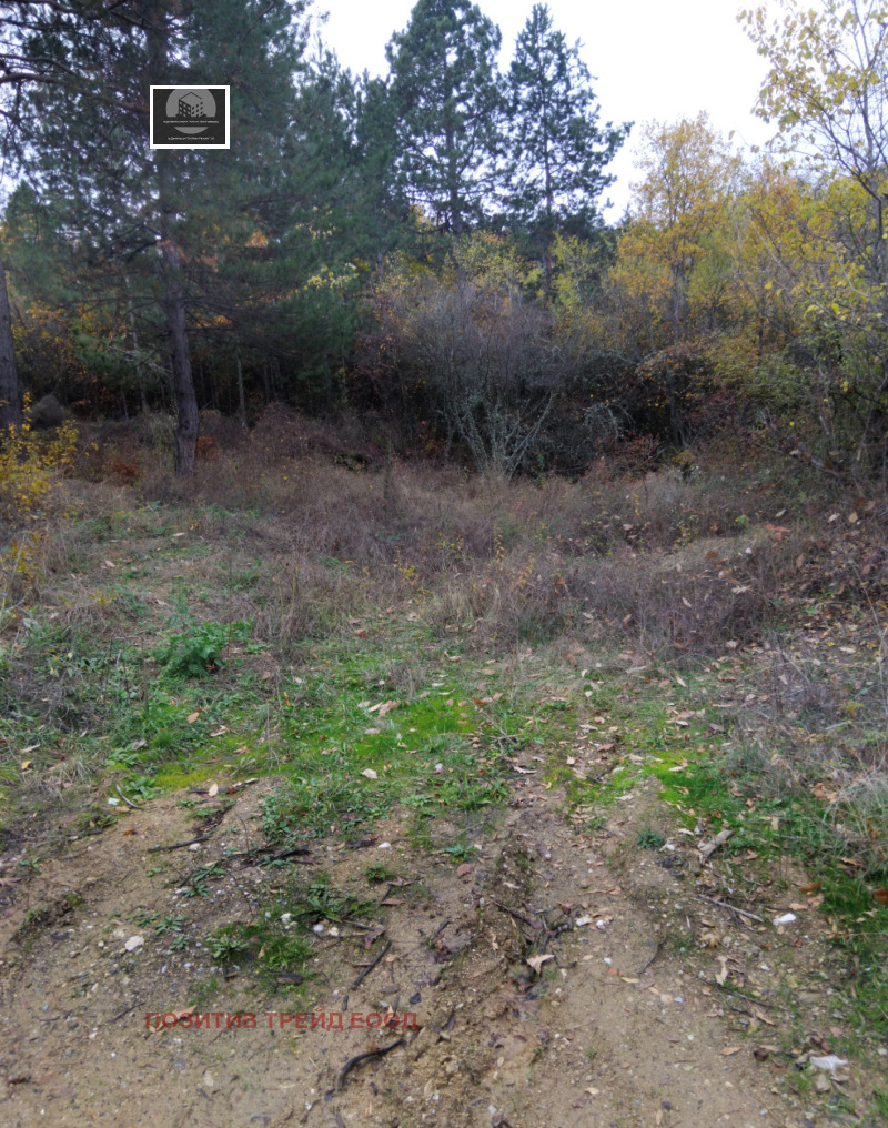 Продава ПАРЦЕЛ, град Кюстендил, Колуша • 69000 лв. / 35279.14 € • 21415199 1 — Holmes.bg Продава ПАРЦЕЛ, град Кюстендил, Колуша • 69000 лв. / 35279.14 € • 21415199 1