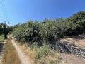 Продава ПАРЦЕЛ, област Враца, с. Костелево • 18000 € / 35204.94 лв. • 57395712 1 — Holmes.bg Продава ПАРЦЕЛ, област Враца, с. Костелево • 18000 € / 35204.94 лв. • 57395712 1