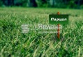Продава Парцел област Добрич , гр. Балчик , 880 кв.м | 19088883 — Imoti.com Продава Парцел област Добрич , гр. Балчик , 880 кв.м | 19088883