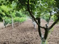 Продава ЕТАЖ ОТ КЪЩА, област Стара Загора, с. Даскал-Атанасово • 15000 € / 29337.45 лв. • 17958549 9 — Holmes.bg Продава ЕТАЖ ОТ КЪЩА, област Стара Загора, с. Даскал-Атанасово • 15000 € / 29337.45 лв. • 17958549 9