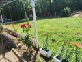 Продава ЕТАЖ ОТ КЪЩА, област Стара Загора, с. Даскал-Атанасово • 15000 € / 29337.45 лв. • 17958549 6 — Holmes.bg Продава ЕТАЖ ОТ КЪЩА, област Стара Загора, с. Даскал-Атанасово • 15000 € / 29337.45 лв. • 17958549 6
