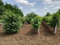 Продава ЕТАЖ ОТ КЪЩА, област Стара Загора, с. Даскал-Атанасово • 15000 € / 29337.45 лв. • 17958549 5 — Holmes.bg Продава ЕТАЖ ОТ КЪЩА, област Стара Загора, с. Даскал-Атанасово • 15000 € / 29337.45 лв. • 17958549 5