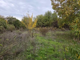 Обява Продава КЪЩА,с. Александрово, област Ловеч>