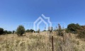 Продава ПАРЦЕЛ, Гърция, Халкидики • 89000 € / 174068.87 лв. • 73387517 11 — Holmes.bg Продава ПАРЦЕЛ, Гърция, Халкидики • 89000 € / 174068.87 лв. • 73387517 11