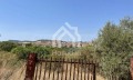 Продава ПАРЦЕЛ, Гърция, Халкидики • 89000 € / 174068.87 лв. • 73387517 10 — Holmes.bg Продава ПАРЦЕЛ, Гърция, Халкидики • 89000 € / 174068.87 лв. • 73387517 10