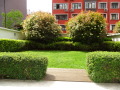 Продава 2-СТАЕН, град София, Център • 219999 € • 54593564 13 — Holmes.bg Продава 2-СТАЕН, град София, Център • 219999 € • 54593564 13