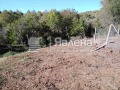 Продава Парцел област Бургас , с. Изгрев , 1480 кв.м | 45821124 — Imoti.com Продава Парцел област Бургас , с. Изгрев , 1480 кв.м | 45821124