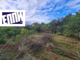 Обява Продава КЪЩА,с. Пищигово, област Пазарджик