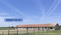 Продава Парцел област Добрич , с. Одърци , 4500 кв.м | 25846450 — Imoti.com Продава Парцел област Добрич , с. Одърци , 4500 кв.м | 25846450