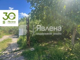 Продава Парцел, с. Ветрино