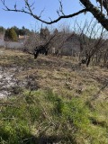 Продава ПАРЦЕЛ, град София, с. Войнеговци • 59000 € / 115393.97 лв. • 36882430 7 — Holmes.bg Продава ПАРЦЕЛ, град София, с. Войнеговци • 59000 € / 115393.97 лв. • 36882430 7