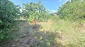Продава ПАРЦЕЛ, град Варна, м-т Боровец - север • 195000 € / 381386.85 лв. • 76863271 4 — Holmes.bg Продава ПАРЦЕЛ, град Варна, м-т Боровец - север • 195000 € / 381386.85 лв. • 76863271 4