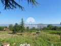 Продава ПАРЦЕЛ, град Варна, м-т Зеленика • 160000 € / 312932.80 лв. • 90248762 3 — Holmes.bg Продава ПАРЦЕЛ, град Варна, м-т Зеленика • 160000 € / 312932.80 лв. • 90248762 3
