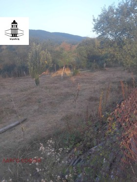 Продава Парцел, с. Мирово
