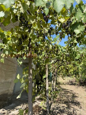 Продава КЪЩА | Imot.bg — малка снимка 2