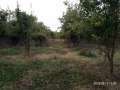 Продава КЪЩА, област Русе, гр. Бяла • 17000 € / 33249.11 лв. • 56567924 15 — Holmes.bg Продава КЪЩА, област Русе, гр. Бяла • 17000 € / 33249.11 лв. • 56567924 15