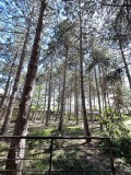 Продава 2-СТАЕН, град Варна, м-т Ален мак • 140000 € / 273816.20 лв. • 42474434 10 — Holmes.bg Продава 2-СТАЕН, град Варна, м-т Ален мак • 140000 € / 273816.20 лв. • 42474434 10