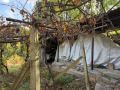 Продава КЪЩА, област Ловеч, с. Къкрина • 17000 € • 83558815 7 — Holmes.bg Продава КЪЩА, област Ловеч, с. Къкрина • 17000 € • 83558815 7