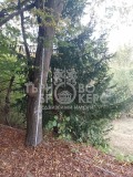 Продава ВИЛА, област Велико Търново, с. Разсоха • 12000 € • 26123543 17 — Holmes.bg Продава ВИЛА, област Велико Търново, с. Разсоха • 12000 € • 26123543 17