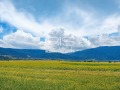 Продава Парцел област Шумен , с. Сушина , 1854 кв.м | 74590536 — Imoti.com Продава Парцел област Шумен , с. Сушина , 1854 кв.м | 74590536