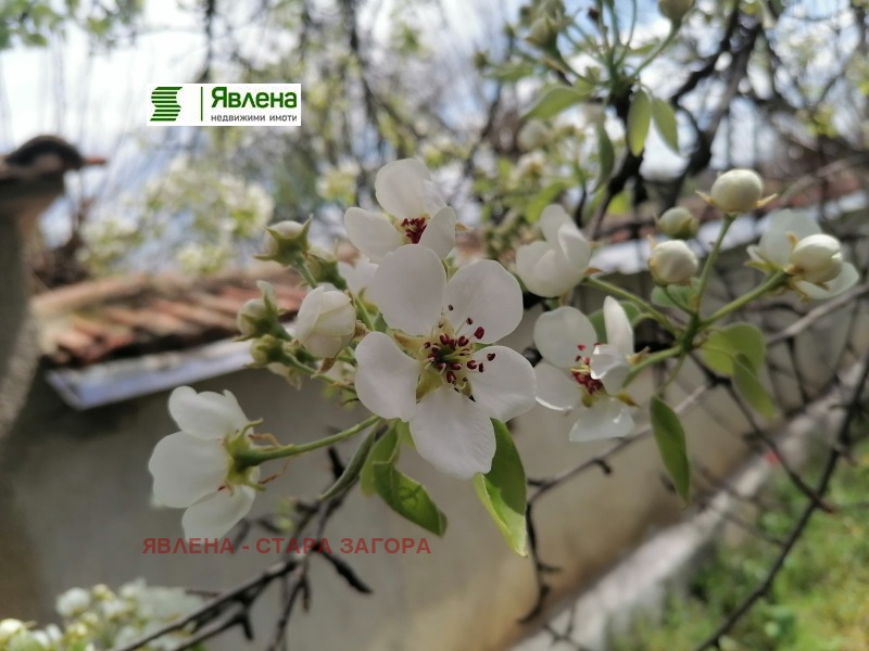 Продава ПАРЦЕЛ, област Стара Загора, с. Дълбоки • 29500 € / 57696.99 лв. • 77207189 1 — Holmes.bg Продава ПАРЦЕЛ, област Стара Загора, с. Дълбоки • 29500 € / 57696.99 лв. • 77207189 1