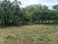Продава Парцел област Пазарджик , с. Хаджиево , 800 кв.м | 18177459 — Imoti.com Продава Парцел област Пазарджик , с. Хаджиево , 800 кв.м | 18177459