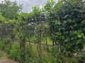 Продава Къща град Кюстендил , Център , 400 кв.м | 13387245 — Imoti.com Продава Къща град Кюстендил , Център , 400 кв.м | 13387245