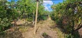 Продава КЪЩА, град Кюстендил, Герена • 46000 € • 55866636 10 — Holmes.bg Продава КЪЩА, град Кюстендил, Герена • 46000 € • 55866636 10