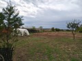 Продава Пром. помещение област Добрич , гр. Балчик , 5825 кв.м | 19101877 — Imoti.com Продава Пром. помещение област Добрич , гр. Балчик , 5825 кв.м | 19101877