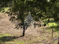 Продава Парцел област Варна , с. Долище , 1026 кв.м | 52887141 — Imoti.com Продава Парцел област Варна , с. Долище , 1026 кв.м | 52887141